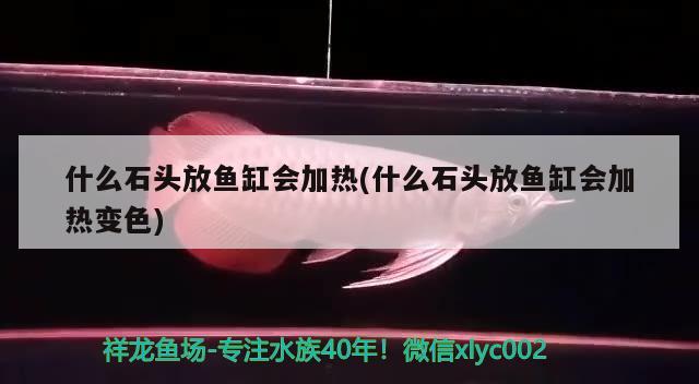 什么石頭放魚缸會加熱(什么石頭放魚缸會加熱變色)