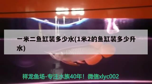 一米二魚缸裝多少水(1米2的魚缸裝多少升水) 電鰻