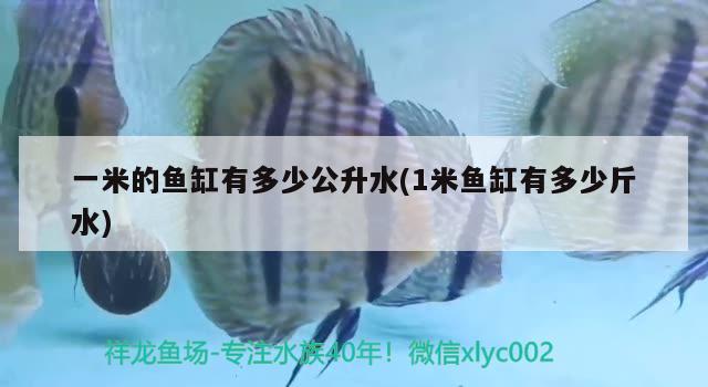 一米的魚缸有多少公升水(1米魚缸有多少斤水)