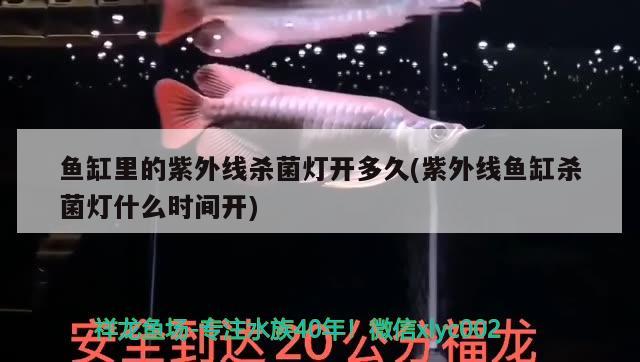 魚缸里的紫外線殺菌燈開多久(紫外線魚缸殺菌燈什么時間開)