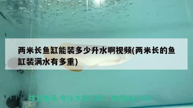 兩米長魚缸能裝多少升水啊視頻(兩米長的魚缸裝滿水有多重)