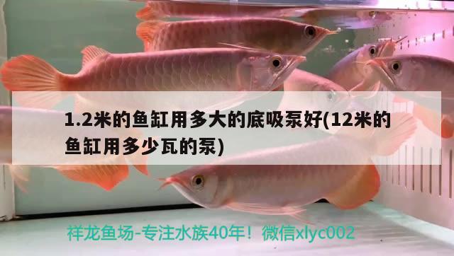 1.2米的魚(yú)缸用多大的底吸泵好(12米的魚(yú)缸用多少瓦的泵)