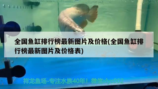 全國魚缸排行榜最新圖片及價(jià)格(全國魚缸排行榜最新圖片及價(jià)格表)