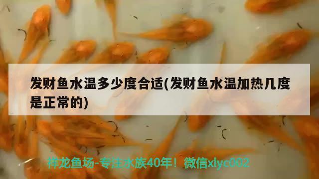 發(fā)財魚水溫多少度合適(發(fā)財魚水溫加熱幾度是正常的)