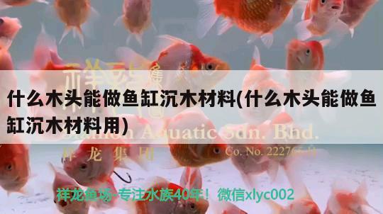 什么木頭能做魚缸沉木材料(什么木頭能做魚缸沉木材料用) 大湖紅龍魚