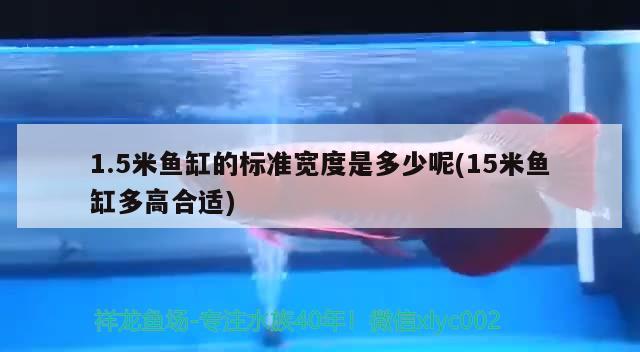 1.5米魚缸的標準寬度是多少呢(15米魚缸多高合適) 名貴錦鯉魚