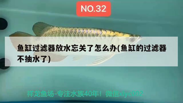 魚缸過(guò)濾器放水忘關(guān)了怎么辦(魚缸的過(guò)濾器不抽水了)