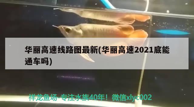 華麗高速線路圖最新(華麗高速2021底能通車嗎)