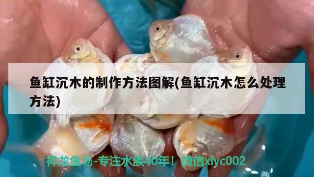 魚缸沉木的制作方法圖解(魚缸沉木怎么處理方法) 鐵甲武士