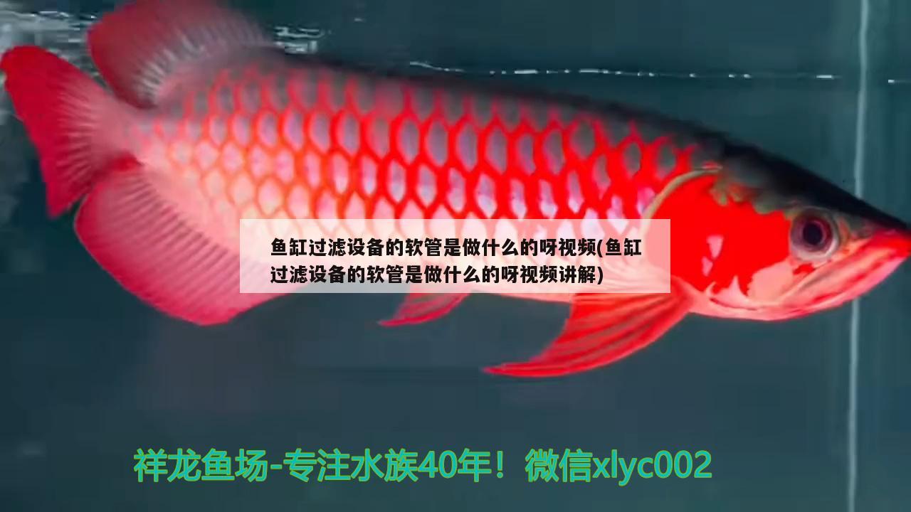 魚缸過(guò)濾設(shè)備的軟管是做什么的呀視頻(魚缸過(guò)濾設(shè)備的軟管是做什么的呀視頻講解) 過(guò)濾設(shè)備