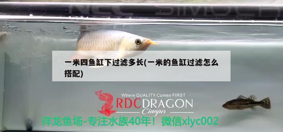 一米四魚缸下過濾多長(一米的魚缸過濾怎么搭配)