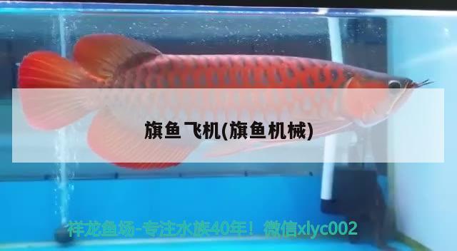 旗魚飛機(旗魚機械)