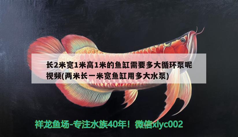 長2米寬1米高1米的魚缸需要多大循環(huán)泵呢視頻(兩米長一米寬魚缸用多大水泵)