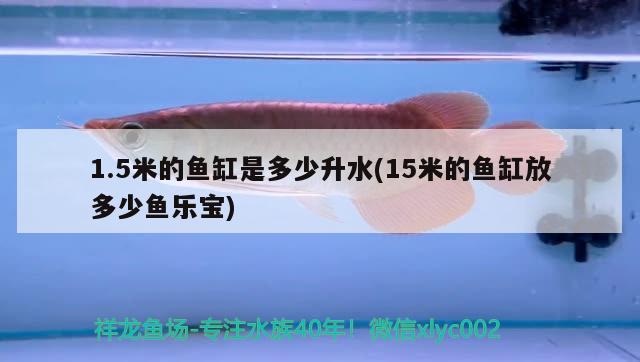 1.5米的魚缸是多少升水(15米的魚缸放多少魚樂寶)