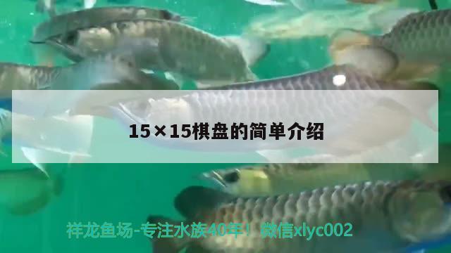 15×15棋盤的簡單介紹 觀賞魚