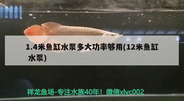 1.4米魚缸水泵多大功率夠用(12米魚缸水泵) 魚缸水泵