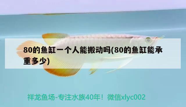 80的魚缸一個人能搬動嗎(80的魚缸能承重多少)