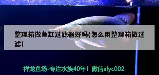 整理箱做魚缸過濾器好嗎(怎么用整理箱做過濾)