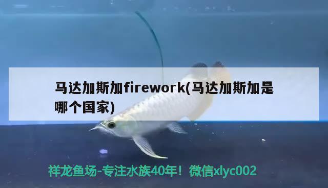 馬達加斯加firework(馬達加斯加是哪個國家)