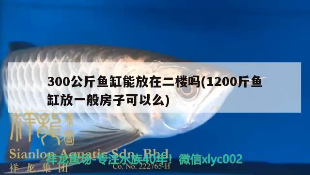 300公斤魚缸能放在二樓嗎(1200斤魚缸放一般房子可以么)