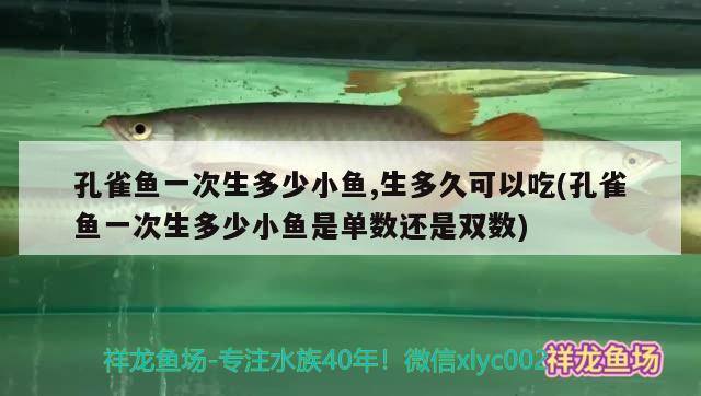 孔雀魚(yú)一次生多少小魚(yú),生多久可以吃(孔雀魚(yú)一次生多少小魚(yú)是單數(shù)還是雙數(shù))