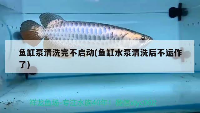 魚缸泵清洗完不啟動(魚缸水泵清洗后不運(yùn)作了) 魚缸水泵