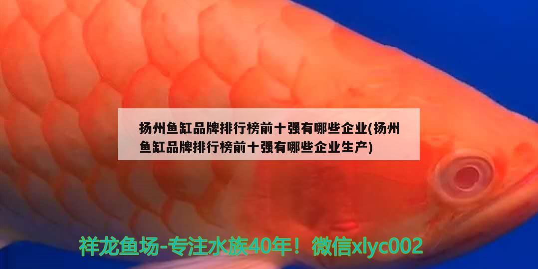 揚州魚缸品牌排行榜前十強有哪些企業(yè)(揚州魚缸品牌排行榜前十強有哪些企業(yè)生產(chǎn))