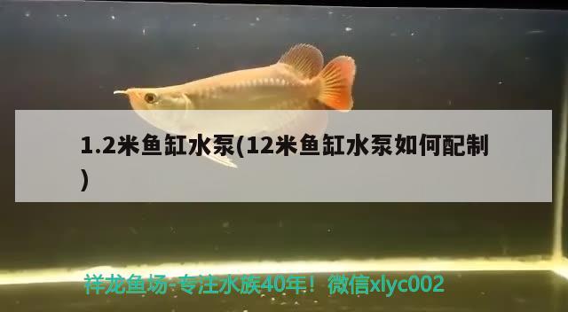 1.2米魚缸水泵(12米魚缸水泵如何配制) 魚缸水泵