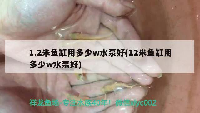 1.2米魚缸用多少w水泵好(12米魚缸用多少w水泵好)