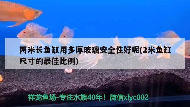 兩米長魚缸用多厚玻璃安全性好呢(2米魚缸尺寸的最佳比例)