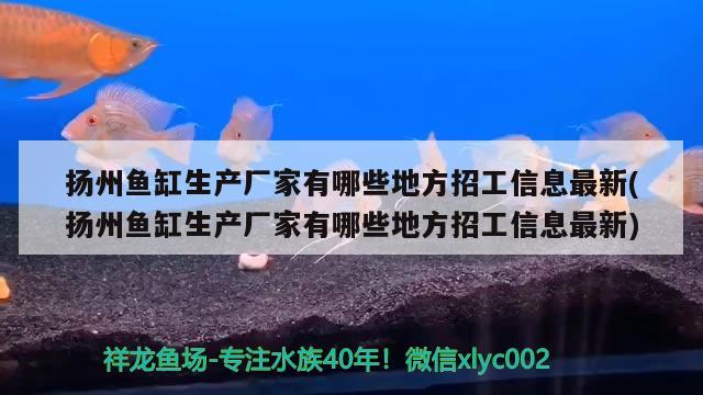 揚州魚缸生產(chǎn)廠家有哪些地方招工信息最新(揚州魚缸生產(chǎn)廠家有哪些地方招工信息最新)