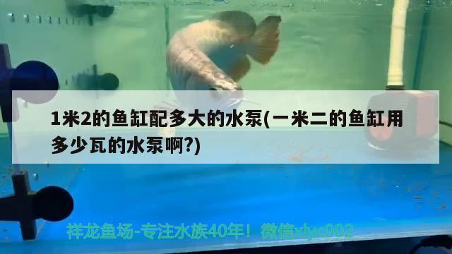 1米2的魚缸配多大的水泵(一米二的魚缸用多少瓦的水泵啊?) 金龍魚百科