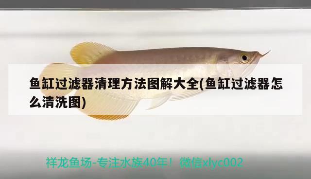 魚缸過濾器清理方法圖解大全(魚缸過濾器怎么清洗圖)