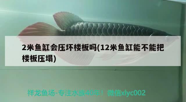 2米魚缸會(huì)壓壞樓板嗎(12米魚缸能不能把樓板壓塌) 帝王血鉆