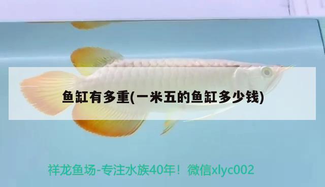 魚缸有多重(一米五的魚缸多少錢)