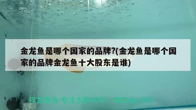 金龍魚(yú)是哪個(gè)國(guó)家的品牌?(金龍魚(yú)是哪個(gè)國(guó)家的品牌金龍魚(yú)十大股東是誰(shuí))