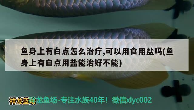 魚身上有白點怎么治療,可以用食用鹽嗎(魚身上有白點用鹽能治好不能)