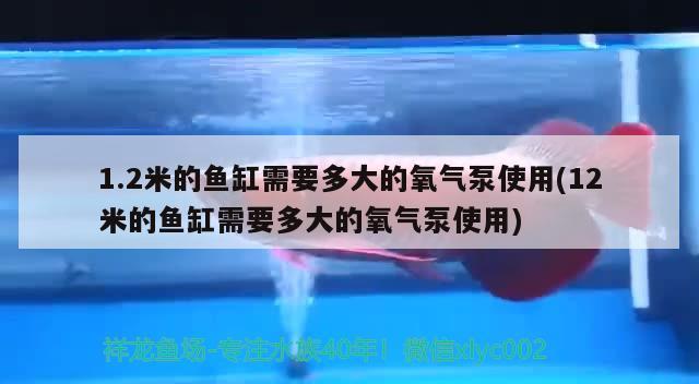 1.2米的魚缸需要多大的氧氣泵使用(12米的魚缸需要多大的氧氣泵使用) 球鯊魚 第1張