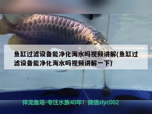 魚缸過濾設備能凈化海水嗎視頻講解(魚缸過濾設備能凈化海水嗎視頻講解一下)