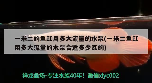 一米二的魚缸用多大流量的水泵(一米二魚缸用多大流量的水泵合適多少瓦的)