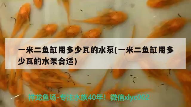 一米二魚缸用多少瓦的水泵(一米二魚缸用多少瓦的水泵合適)