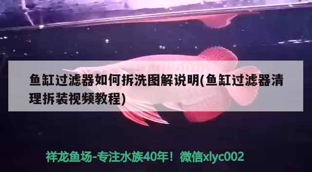 魚缸過濾器如何拆洗圖解說明(魚缸過濾器清理拆裝視頻教程)