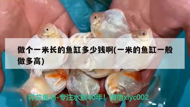 做個一米長的魚缸多少錢啊(一米的魚缸一般做多高) 黑水素