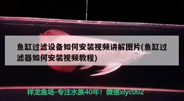 魚缸過濾設(shè)備如何安裝視頻講解圖片(魚缸過濾器如何安裝視頻教程) 過濾設(shè)備