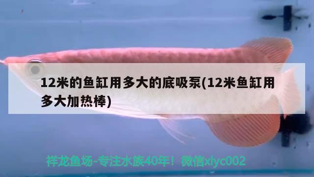 12米的魚缸用多大的底吸泵(12米魚缸用多大加熱棒)