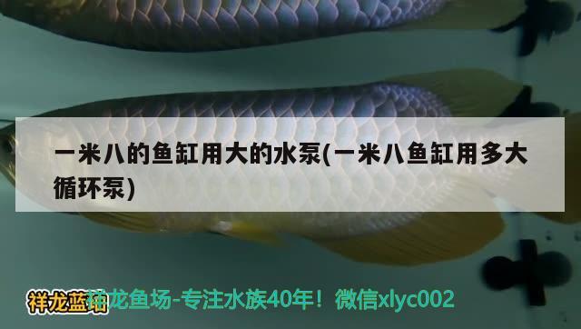 一米八的魚缸用大的水泵(一米八魚缸用多大循環(huán)泵) 雙線側(cè)魚