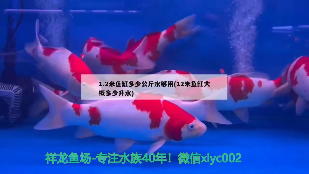 1.2米魚缸多少公斤水夠用(12米魚缸大概多少升水) 魚缸凈水劑