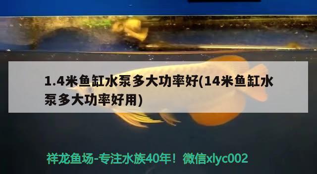 1.4米魚缸水泵多大功率好(14米魚缸水泵多大功率好用) 魚缸水泵