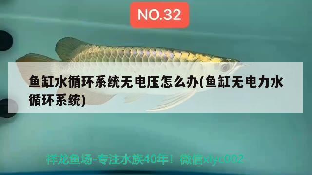 魚缸水循環(huán)系統(tǒng)無電壓怎么辦(魚缸無電力水循環(huán)系統(tǒng))