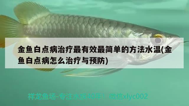 金魚白點(diǎn)病治療最有效最簡(jiǎn)單的方法水溫(金魚白點(diǎn)病怎么治療與預(yù)防)